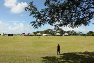 Shock comeback! Cricket legend, 41, ends retirement to play for Samoa - 'It's official'